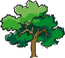 Oak Tree Clip Art N15