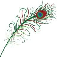 green and red peacock feather