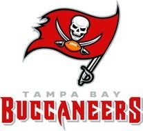 Tampa Bay Buccaneers New Logo N2