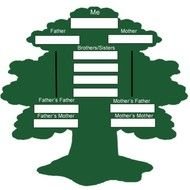 Family Tree Template N6