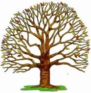 Family Tree N9