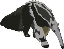 Giant Anteater Clip Art