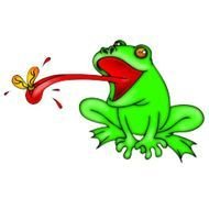 Frog Catching Fly With Tongue