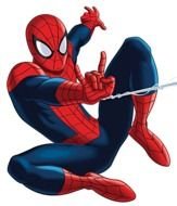 Spider Man Cartoon N6