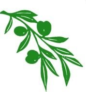 Olive Tree Branch