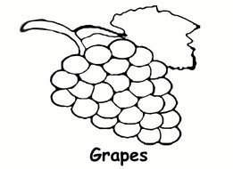 Grapes Coloring Page drawing