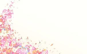 pink and white flowers in the corner of the frame