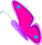 Cartoon colorful butterfly clipart