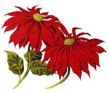 two red flowers as a vintage image