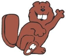Cartoon Beaver N4