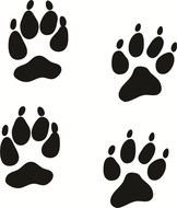 Bobcat Paw Print Clip Art N5