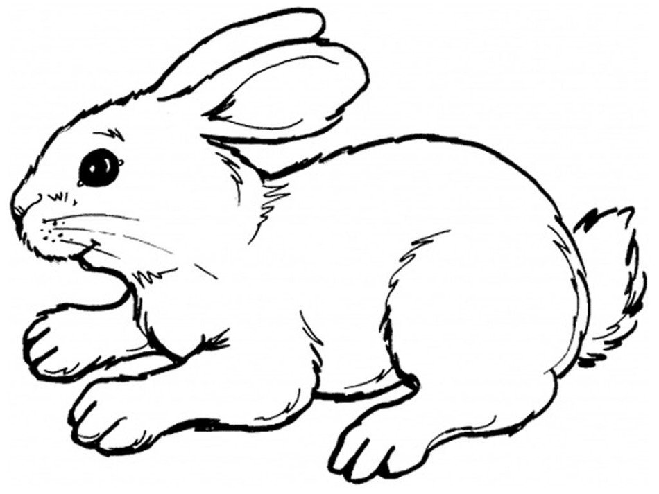 rabbit as a black and white graphic image