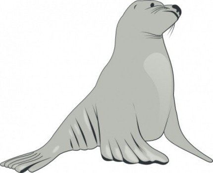 Sea Lion Clip Art N15