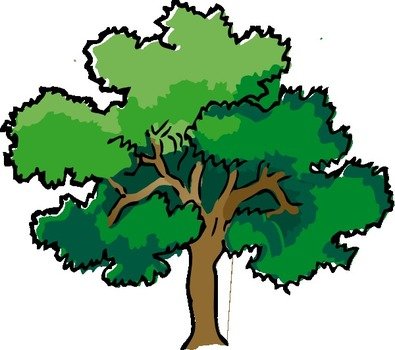 Oak Tree Clip Art N15