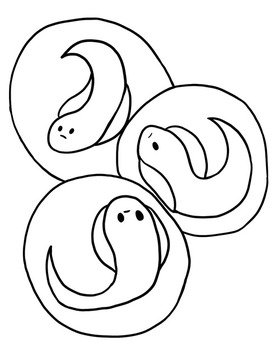 Frog Life Cycle Coloring Page N4