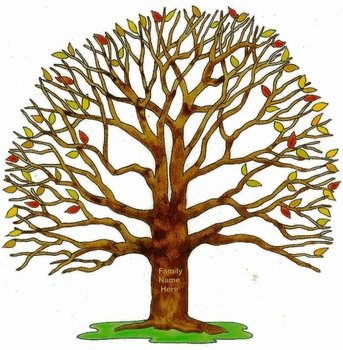Family Tree N9