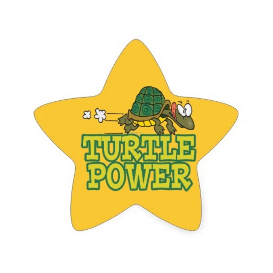 Cute Cartoon Turtles N6