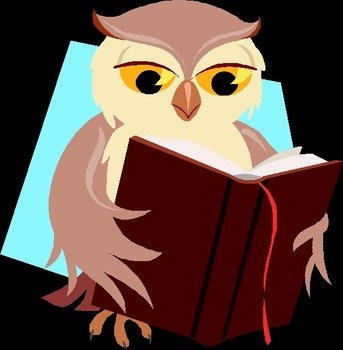 Owl Reading Book