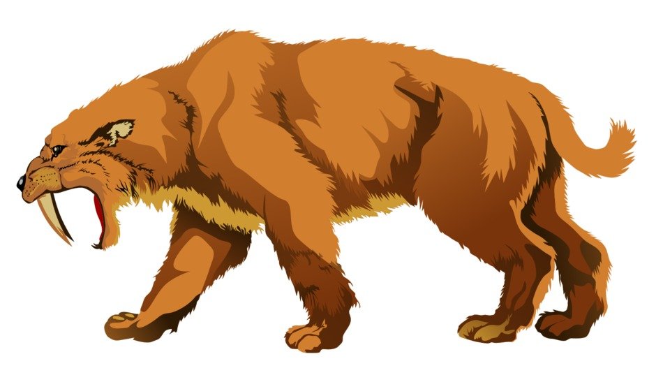 Black and colorful drawing of the sabertooth clipart