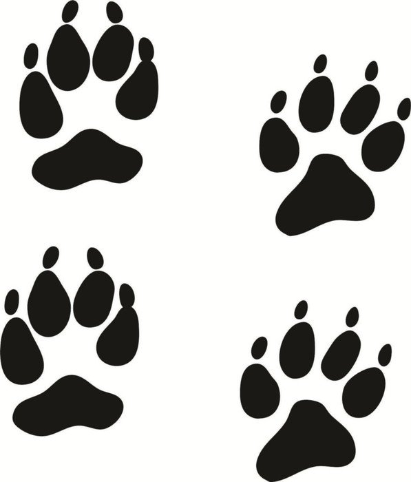 Bobcat Paw Print Clip Art N5