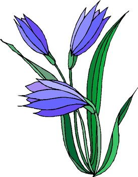 In Questo Modo La Clip Art Sar agrave Memorizzata Nel Vostro Pc E Potrete N11