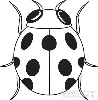 Black And White Ladybug Clip Art N8