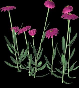 Free High Resolution Clip Art N16