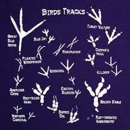 Bird Tracks