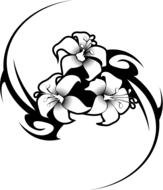 painted black and white hibiscus