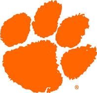 Clemson Tiger Paw N3
