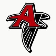 Atlanta Falcons Logo N3