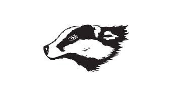 Badger head, black and white