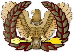 US Army Warrant Officer Insignia drawing