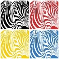 Clipart of colorful Zebra photos