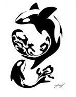 Orca Tattoos drawing