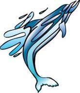 Dolphin Clip Art N44