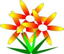 Clipart Flor De Mato drawing