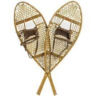 Old Snow Shoes