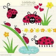 Spring Ladybug Clip Art N4