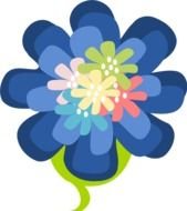 blue flower with a colored center