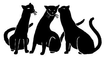 big black cats as illustration