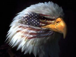 Clip art of American Flag With Eagle