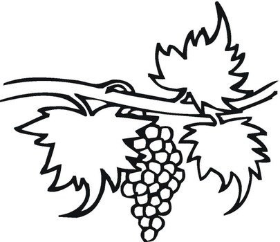 Grape Vine Coloring Page N2