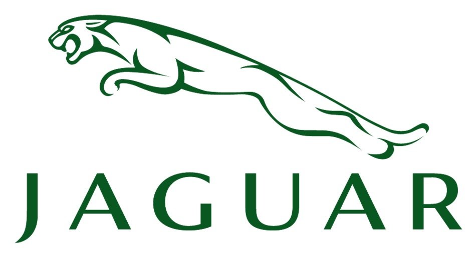 Jaguar as illustration