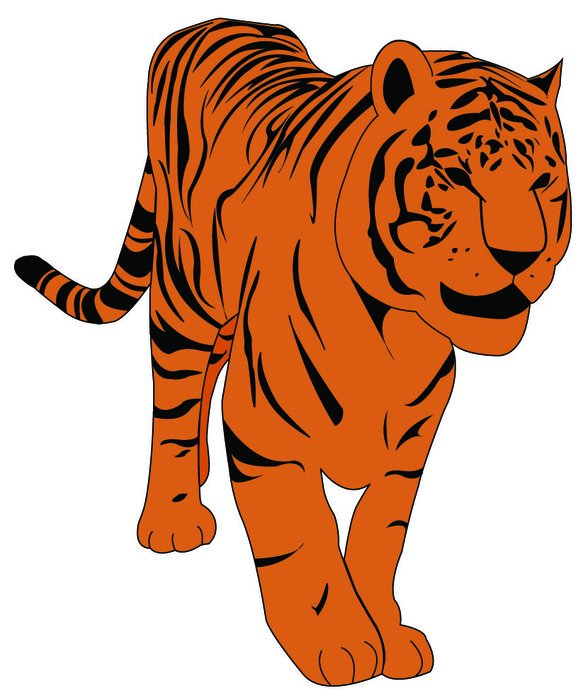 Tiger Clip Art N56