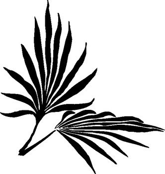 Art Clip Sunday Palm Branch N2
