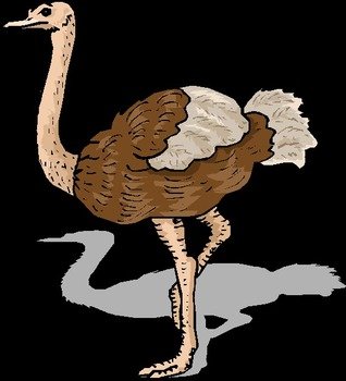 Ostrich Clip Art N7