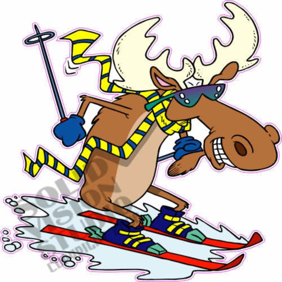 Cartoon Moose N8