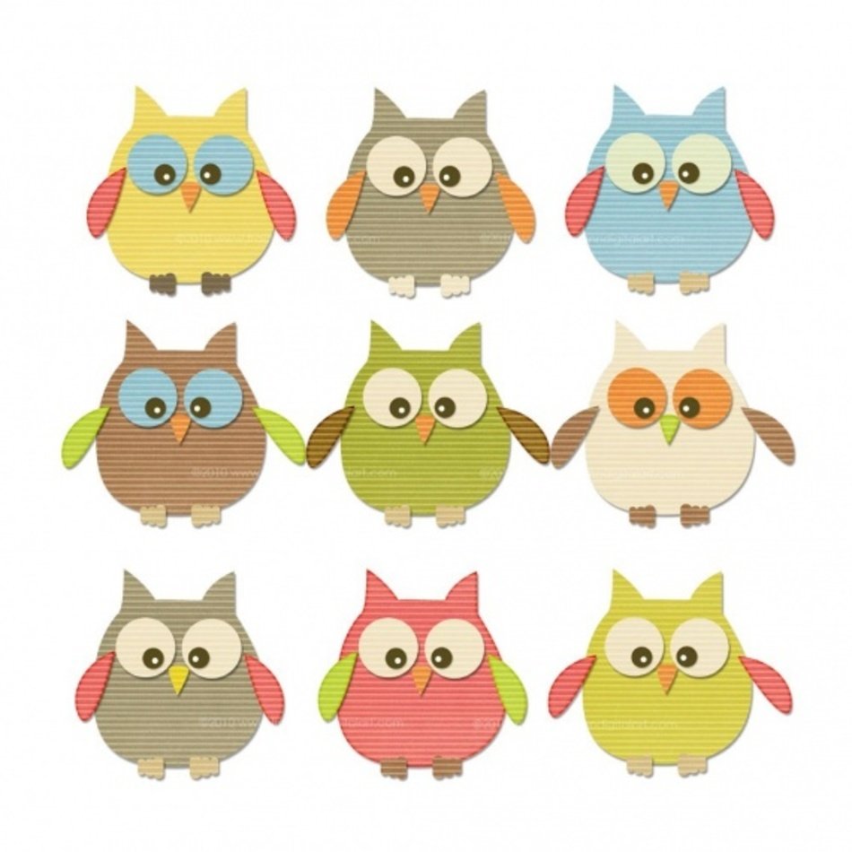 Chouettes