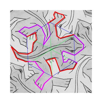 Escher Tessellation Patterns